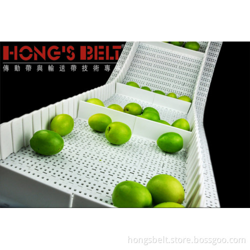 Food Grade Modular Conveyor Belt with Widewall and Flights (HS-100B)
